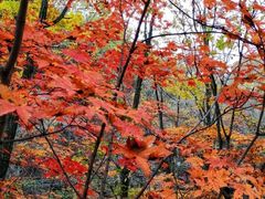 -本溪老边沟风景区