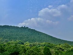 -千佛山风景名胜区