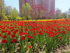 -迎泽公园
