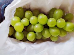 -马陆小张葡萄园农家乐