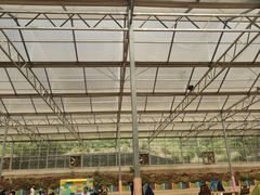 -西部长青自然儿童乐园