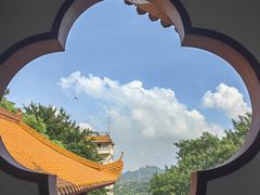 -深圳仙湖植物园
