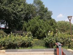 -元大都城垣遗址公园