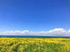 -青海湖国家重点风景名胜区