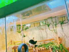 -深圳野生动物园