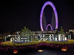 -南京眼步行桥
