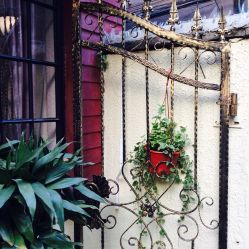 -素颜秀·纹眉·野生眉·纹唇半永久