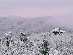 -香山公园