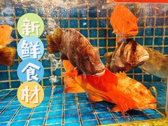 -飞尝蚝·顺德菜·鱼生(顺德总店)
