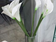 -福奈特洗衣·洗鞋·奢侈品护理(真北店)