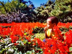 -长春公园(普阳街道)