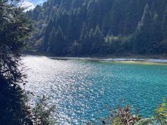 -武陵山森林公园