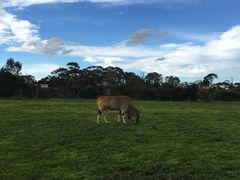 -威勒比开放式动物园