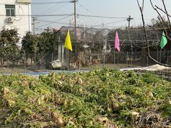 -小鱼草莓采摘园农家乐·小鱼餐厅