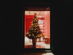 -Punchline Coffee&Roaster(同济大学店)