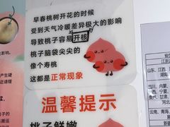 -老袁家蜜桃农场·阳山水蜜桃