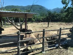 -西安秦岭野生动物园