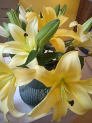 -FineYoga梵音瑜伽·普拉提