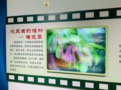 -上海昆虫博物馆