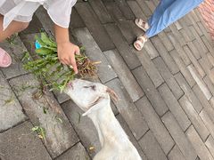 -西部长青自然儿童乐园