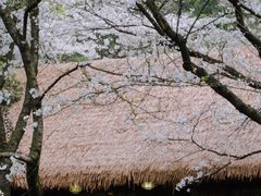 -中国茶叶博物馆(双峰馆区)