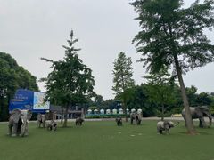 -保利石象湖景区