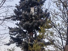 -杭州半山国家森林公园