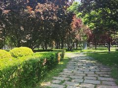 -永定门南广场