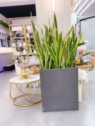 -FUTURE HN男士发型风格设计