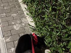 -大鹏佳兆业广场