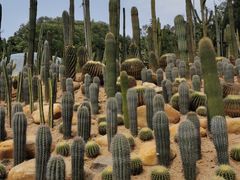 -深圳仙湖植物园