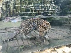 -贵州森林野生动物园