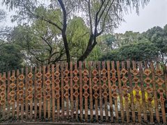 -上海醉白池公园