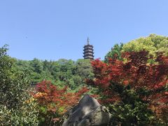 -焦山风景区