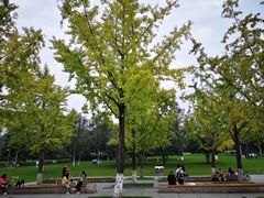 -重庆中央公园(渝北区)