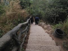 -梧桐山风景名胜区