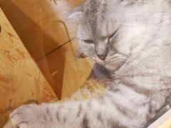 -拾壹cafe·工作室