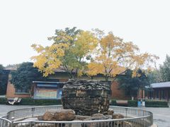 -楚望台遗址公园