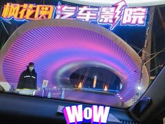 -枫花园汽车电影院(朝阳公园店)