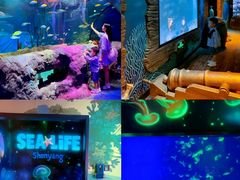 -沈阳海洋探索中心