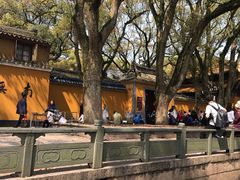 -普陀山慧济禅寺