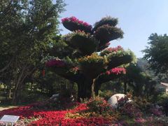 -广州雕塑公园