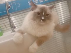 -美迦爱-牙专科·兔科·骨科诊疗中心(北苑店)
