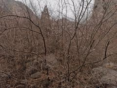 -青龙山生态文化旅游区