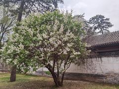 -承德避暑山庄景区