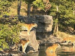 -宁波野生动物园
