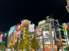 -秋叶原电器街