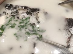 -老淳安—伴山伴湖(千岛湖开元度假村店)