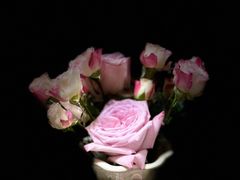 -向花仕Bloomy Life咖啡鲜花(益田假日店)