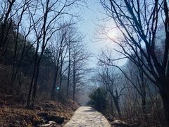 -秦岭终南山世界地质公园翠华山景区